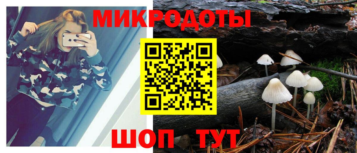 Россия  Псилоцибиновые грибы мицелий  Вход с VPN 